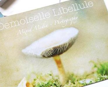 Demoiselle Libellule