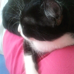 Mein Bein...