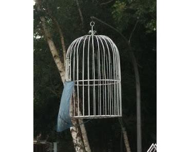 "Wir sind Kirche" - Käfig