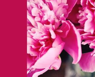 Pfingstrosen zu Pfingsten & Veilchenschönes