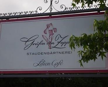 Staudengärtnerei Gräfin von Zeppelin in Sulzburg-Laufen