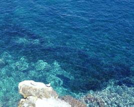 Ein Blick ins Meer am Strand von Portals Vells auf Mallorca