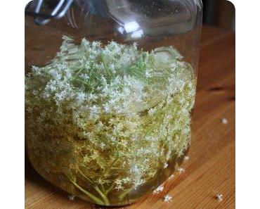 Holunderblütenessig