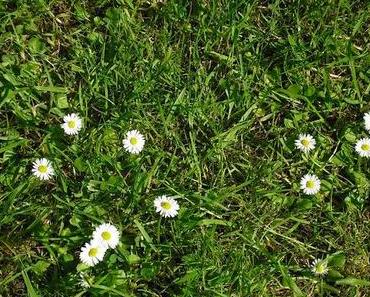 Gemäht, gejubelt, gerieben