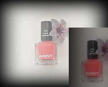 Anny " crazy flamingo"