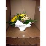 Flowerdreams Paket innen 150x150 Blumen online bestellen   Shoptest bei Flowerdreams.de
