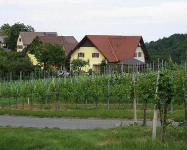 Südsteiermark 2012 – ein Reisebericht inkl. Weinverkostungen und Tipps – Teil1