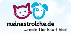 meinestrolche.de der Onlineshop für Tierfutter und Zubehör!