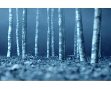 wallpaper-1689754