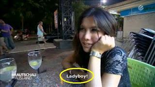 Sie haben es schon wieder getan!