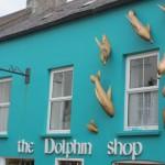 Dolphin Shop