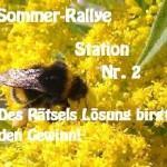 Sommer - Ralley bei den Kinderbuchlotsen