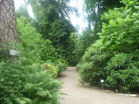 Munich Bontanical Garden