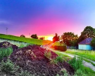 Sonnenuntergang im Markgräflerland – Sommer!