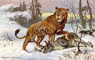 Deutschland war im Eiszeitalter ein Paradies für Löwen