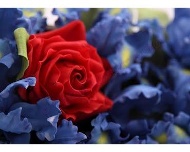 Iris - Blaue Lagune aus der Magie des Zuckers 02/2012