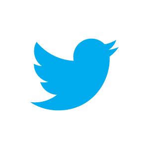 twitter bird blue on white Twitter Geburtstag