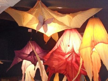 Same same but different…