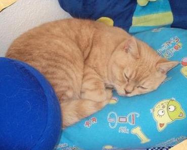 Ein leicht angeschlagener Armani …