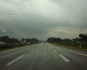 Vom Rasern und Schleichern