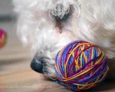 5unddreißig 20zwölf