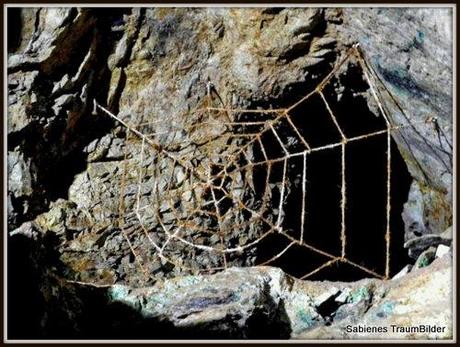 DSCN1782 Spinnennetz im Bergwerk