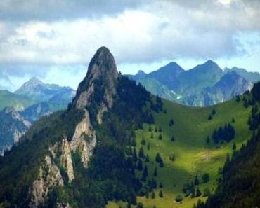 Ich kann sie nicht mehr sehen, die selbstgefällig lächeln...