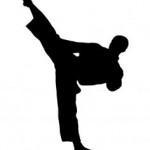 “Karate Kid” DVD Start
