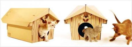 cat cabin