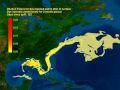 Umweltdesaster im Golf von Mexiko – Ölteppich driftet in den Atlantik