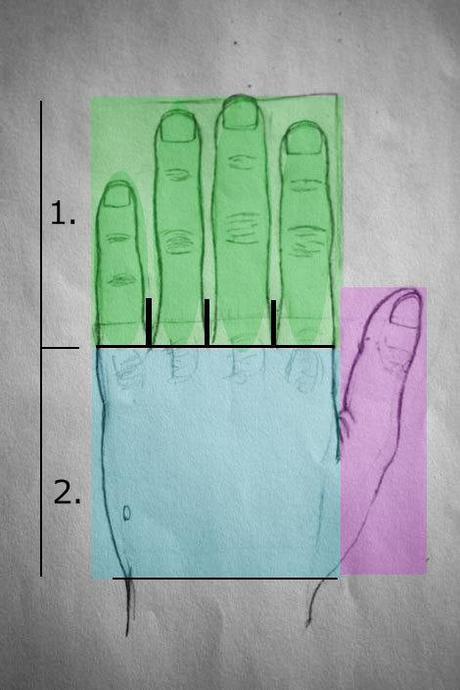 DIe verschiedenen Bereiche einer Hand beim zeichnen