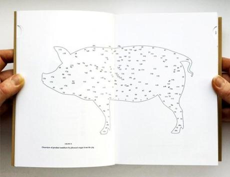 PIG 05049 – das Schwein steckt im Detail
