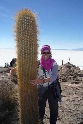 Reisen in Bolivien oder wie umarme ich einen Kaktus