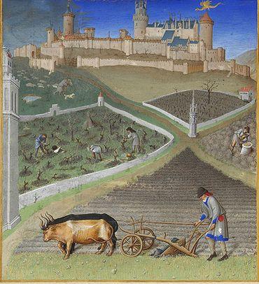 Vier Irrtümer über das Mittelalter