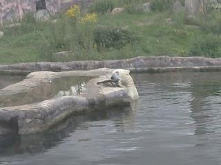 Zoom Erlebniswelt Gelsenkrichen. :)
