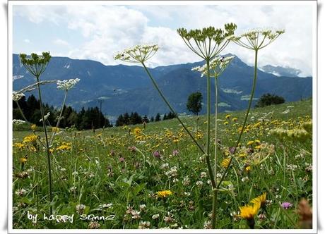 Urlaubstagebuch vom Südtirol....