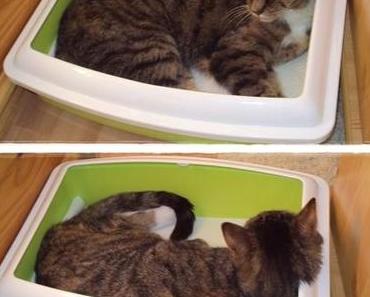 Damit “das” aufhört! ツ