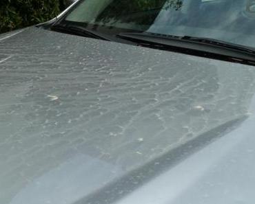 Wenn einer eine Reise tut, ….