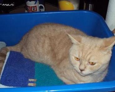 Der gestrige Tag im Schnelldurchgang ツ