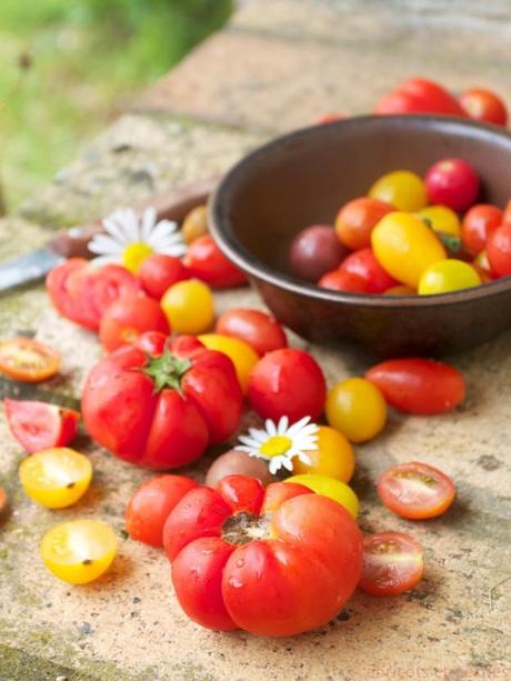Tomaten-Pfirsich-Salat und eine neue Liebe