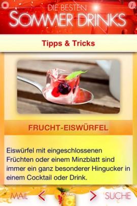 SOMMER DRINKS – Fruchtdrinks, Cocktails, Bowlen, Smoothies, Shakes