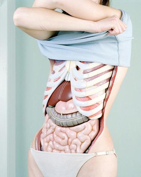 Koen Hauser – Mode trifft Anatomie