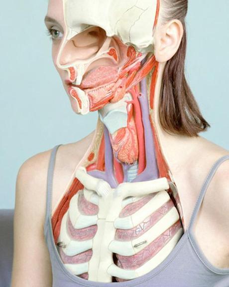 Koen Hauser – Mode trifft Anatomie