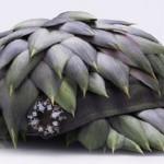edible_fashion_accessories_artichoke-leaves-hat