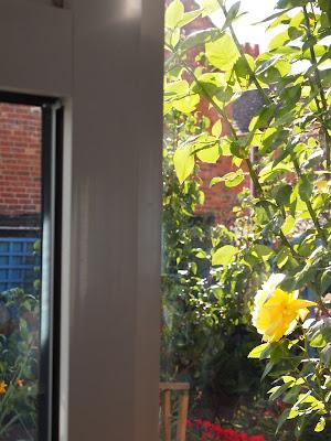 Blick aus dem Sommerküchenfenster