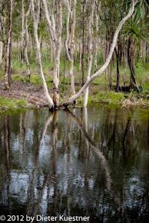 Kakadu National Park - day 1