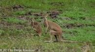 Kakadu National Park - day 1