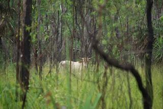 Kakadu National Park - day 1