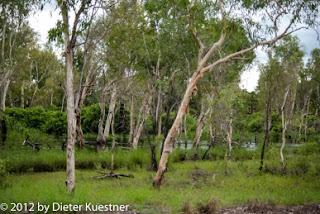 Kakadu National Park - day 1