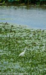 Kakadu National Park - day 1